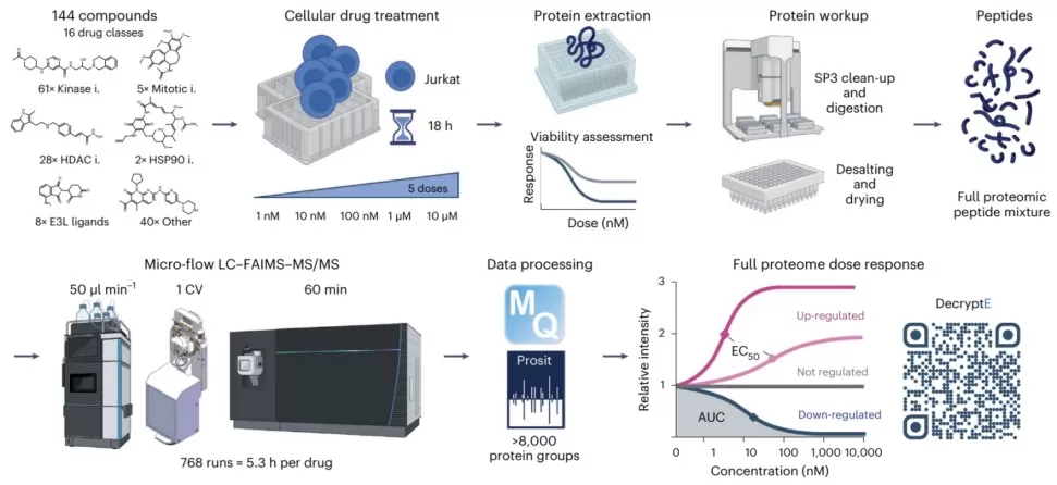 Drug-induced protein expression changes